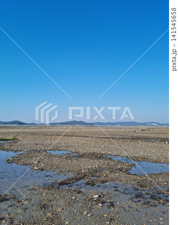 It is a sea with mudflats. 141545658