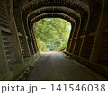 緑へと続く橋のトンネル 141546038