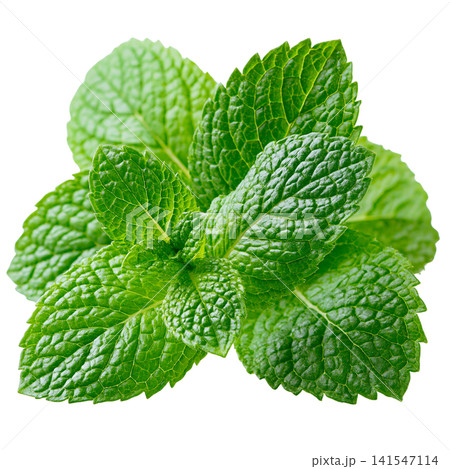 mint 141547114