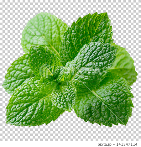 mint 141547114