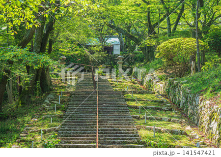 三井寺(長等山園城寺)観音堂への石段 滋賀県大津市 三井寺(長等山園城寺)観音堂への石段 滋賀県大津市 141547421