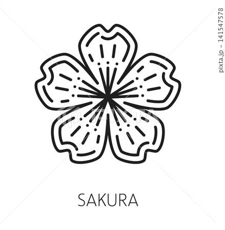 Japan sakura bloom, oriental travel line icon or symbol. Japanese culture travel symbol, Asia vacation tour vector sign. Japan holiday journey icon with sakura cherry tree blossom flower Japan sakura bloom, oriental travel line icon or symbol. Japanese culture travel symbol, Asia vacation tour vector sign. Japan holiday journey icon with sakura cherry tree blossom flower 141547578