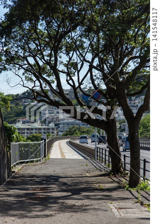 快晴で木々の木漏れ日の影がある橋に続く歩道と車道 141548117