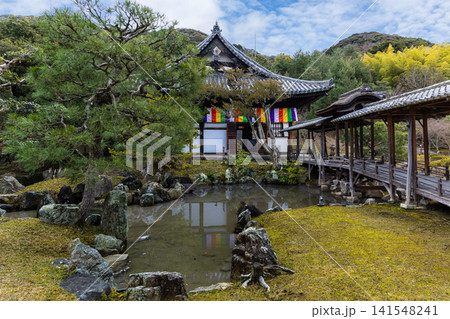 高台寺 高台寺 141548241