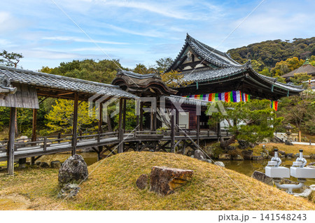高台寺 高台寺 141548243