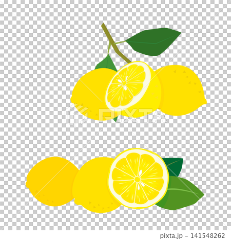 新鮮檸檬插畫 141548262