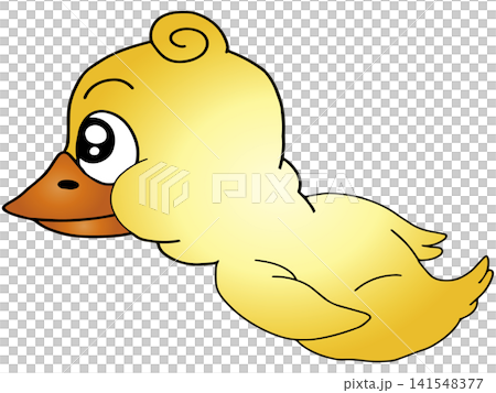 手繪動物插畫 ☆ 小雞 手繪動物插畫 ☆ 小雞 141548377