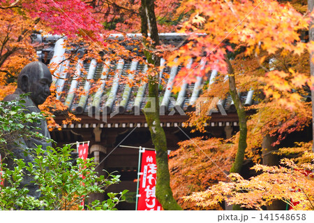 京都　今熊野観音寺　美しい秋の紅葉（京都府京都市東山区） 141548658