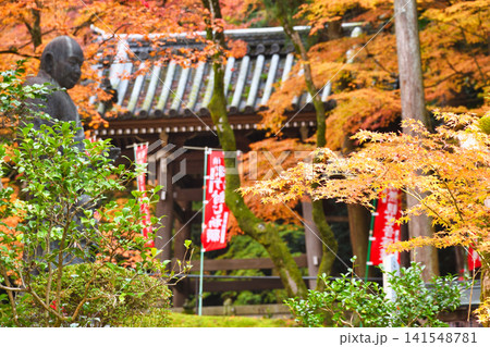 京都　今熊野観音寺　美しい秋の紅葉（京都府京都市東山区） 141548781