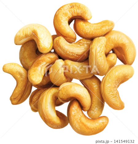 cashew nuts cashew nuts 141549132
