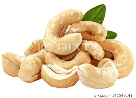 cashew nuts cashew nuts 141549141