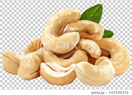cashew nuts cashew nuts 141549141
