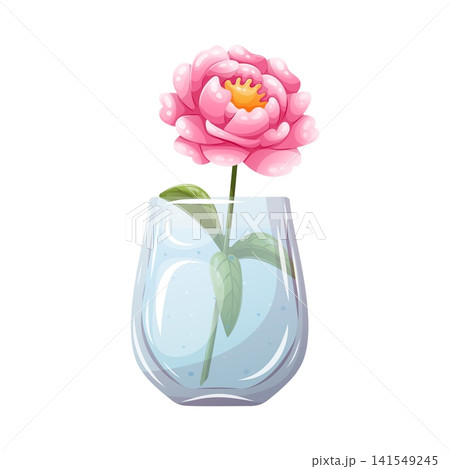 A vector illustration of a pink peony in a glass vase A vector illustration of a pink peony in a glass vase 141549245