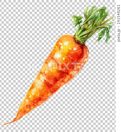 carrot carrot 141549261