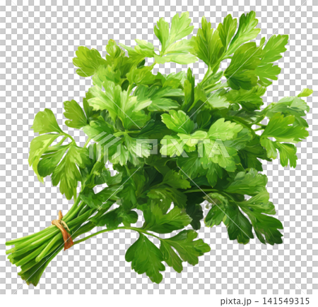Celery 141549315