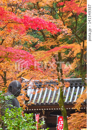 京都 今熊野観音寺 美しい秋の紅葉(京都府京都市東山区) 京都 今熊野観音寺 美しい秋の紅葉(京都府京都市東山区) 141549387
