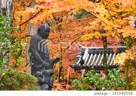 京都 今熊野観音寺 美しい秋の紅葉(京都府京都市東山区) 京都 今熊野観音寺 美しい秋の紅葉(京都府京都市東山区) 141549558