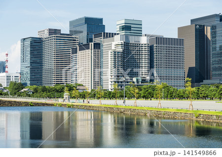 View of the many pine trees around the Kokyo Gaien gardens, with the Marunouchi Modern office building in the background in Chiyoda, Tokyo, Japan. View of the many pine trees around the Kokyo Gaien gardens, with the Marunouchi Modern office building in the background in Chiyoda, Tokyo, Japan. 141549866