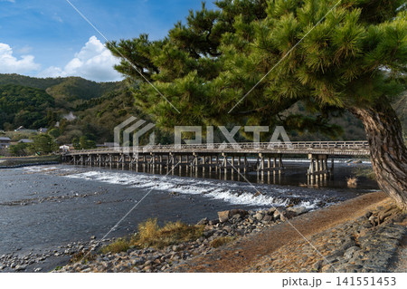 渡月橋 渡月橋 141551453