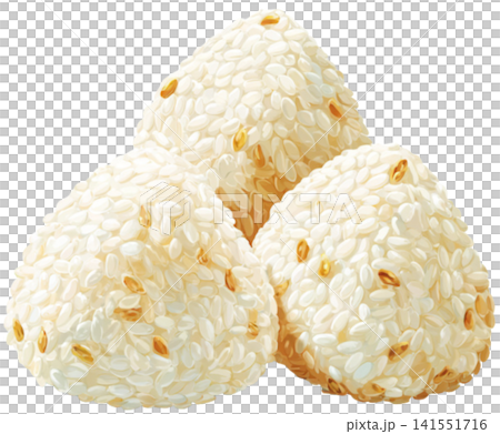 Rice ball 141551716