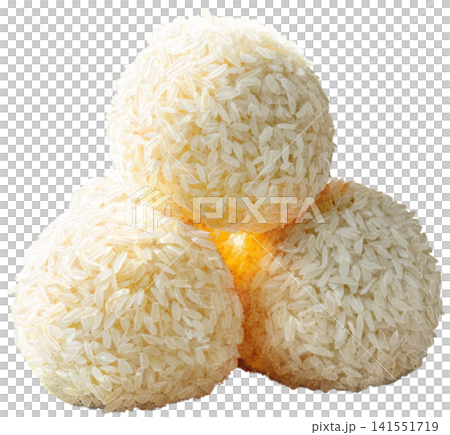 Rice ball Rice ball 141551719
