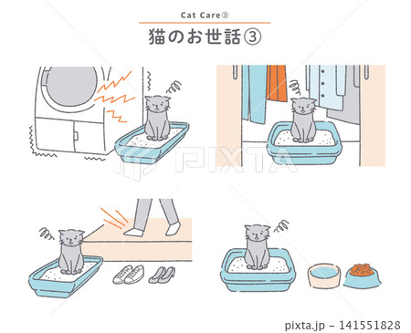 不適切な場所にトイレを設置され不満な猫 猫のトイレに関する素材セット 不適切な場所にトイレを設置され不満な猫 猫のトイレに関する素材セット 141551828