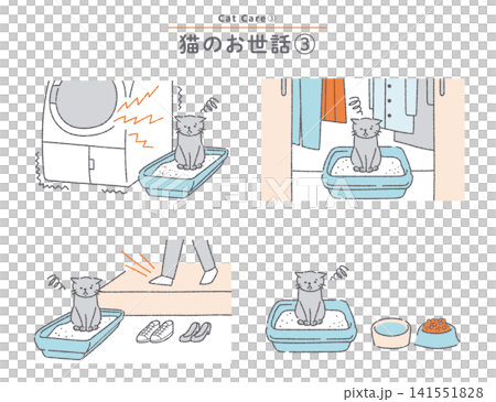不適切な場所にトイレを設置され不満な猫 猫のトイレに関する素材セット 不適切な場所にトイレを設置され不満な猫 猫のトイレに関する素材セット 141551828