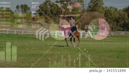 Riding adult female wearing plaid shirt and boots, guiding chestnut horse across paddock with HUD Riding adult female wearing plaid shirt and boots, guiding chestnut horse across paddock with HUD 141551899