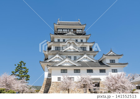 広島県福山市 春の福山城天守 広島県福山市 春の福山城天守 141552513