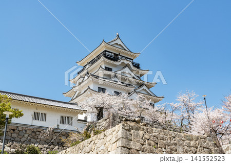 広島県福山市　春の福山城天守 141552523