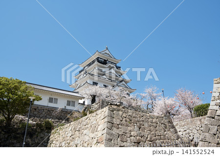 広島県福山市 春の福山城天守 広島県福山市 春の福山城天守 141552524