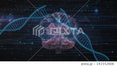 Displaying translucent pink neural form glowing in digital field, with cyan DNA strands and nodes Displaying translucent pink neural form glowing in digital field, with cyan DNA strands and nodes 141552606
