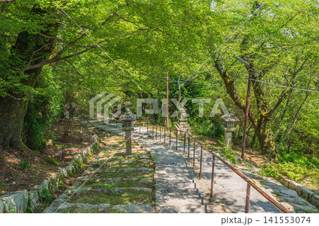 三井寺(長等山園城寺)観音堂への石段 滋賀県大津市 三井寺(長等山園城寺)観音堂への石段 滋賀県大津市 141553074