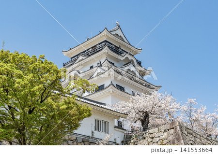 広島県福山市 春の福山城天守 広島県福山市 春の福山城天守 141553664
