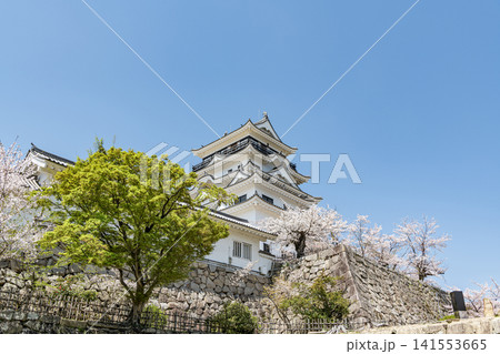 広島県福山市 春の福山城天守 広島県福山市 春の福山城天守 141553665