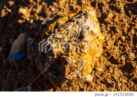 Yellow flint specimen with sparkling quartz crystals resting on desert ground, bathed in warm golden afternoon sunlight highlighting its rough geological texture and unique mineral composition 141553690