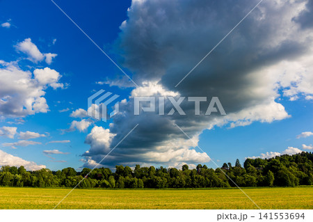 Dramatic cumulus clouds looming over a vast vibrant meadow, painting the sky with intense shades of blue and white, creating a breathtaking nature scene under a sunny summer light Dramatic cumulus clouds looming over a vast vibrant meadow, painting the sky with intense shades of blue and white, creating a breathtaking nature scene under a sunny summer light 141553694