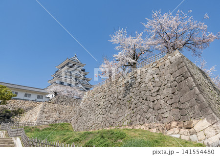 広島県福山市 春の福山城天守 広島県福山市 春の福山城天守 141554480