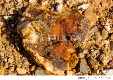 Raw botryoidal chalcedony geode with warm amber tones resting on coarse sandy ground in a natural desert landscape, close-up texture of geological mineral formation Raw botryoidal chalcedony geode with warm amber tones resting on coarse sandy ground in a natural desert landscape, close-up texture of geological mineral formation 141554809