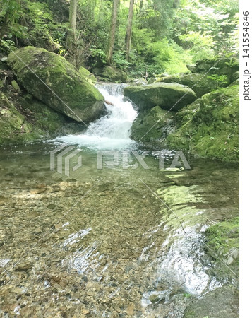 東京都檜原村 払沢の滝へ続く透明な渓流 東京都檜原村 払沢の滝へ続く透明な渓流 141554846