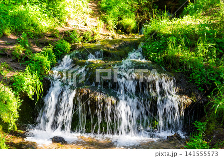 Sparkling fresh water cascades over mossy rocks in a vibrant forest, creating a tiny picturesque waterfall surrounded by lush green foliage under warm sunlight 141555573