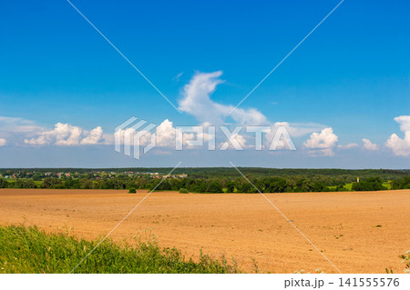 Vast plowed agricultural field under a bright blue summer sky with fluffy white clouds, showcasing tranquil countryside landscape and fertile soil prepared for new crops in sunny weather Vast plowed agricultural field under a bright blue summer sky with fluffy white clouds, showcasing tranquil countryside landscape and fertile soil prepared for new crops in sunny weather 141555576