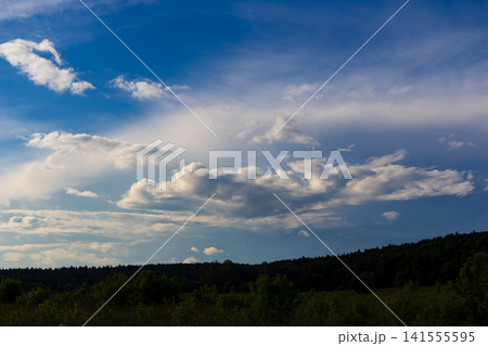 Fluffy white cumulus clouds drift across a vibrant azure sky above a dark green forest horizon, creating a serene and picturesque atmosphere on a beautiful summer day 141555595