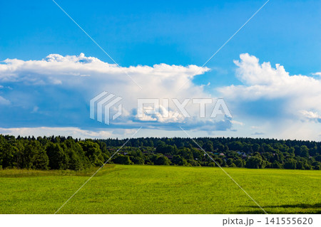 Vibrant green meadow stretching towards a dense forest line under a vast bright blue sky with fluffy white cumulus clouds on a perfect sunny summer day in the countryside Vibrant green meadow stretching towards a dense forest line under a vast bright blue sky with fluffy white cumulus clouds on a perfect sunny summer day in the countryside 141555620