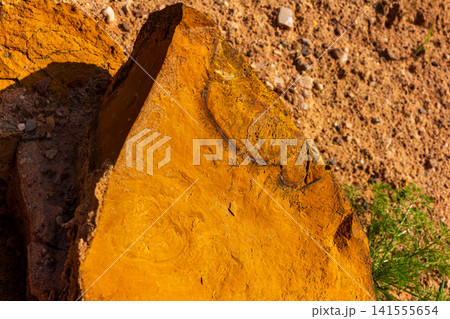 Split limonitic rock featuring vibrant yellow ochre pigment textures, naturally weathered inside an open quarry under bright sunlight with sandy gravel terrain background 141555654