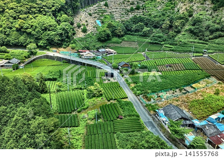 静岡市の茶畑と山間集落を捉えた空撮写真 静岡市の茶畑と山間集落を捉えた空撮写真 141555768