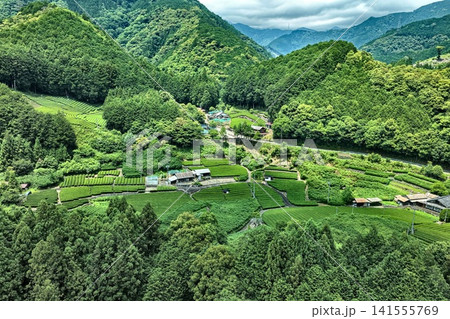 静岡県静岡市の茶畑と段々畑を捉えた空撮写真 静岡県静岡市の茶畑と段々畑を捉えた空撮写真 141555769