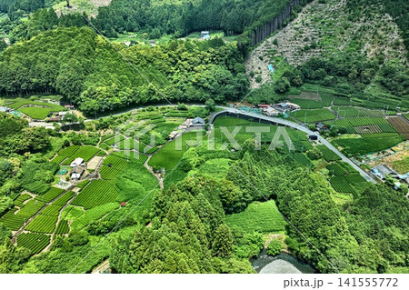 静岡県静岡市の茶畑と山間集落を捉えた空撮写真 141555772