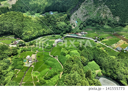静岡市の茶畑と山間集落を斜め俯瞰した空撮写真 141555773