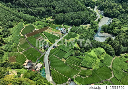静岡市山間部の茶畑と集落を捉えた空撮写真 静岡市山間部の茶畑と集落を捉えた空撮写真 141555792